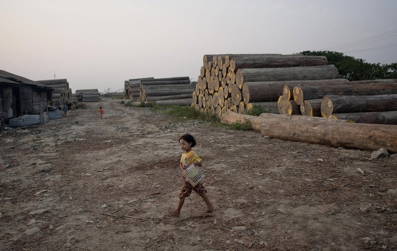 A girl carrying a basket at a logging area on the outskirts of Yangon, Myanmar, where .logging exploded in the early 2000s, when the military junta discarded sustainable forestry practices ito cash in on vast natural resources, in a 2014 file photo. Credit: AFP