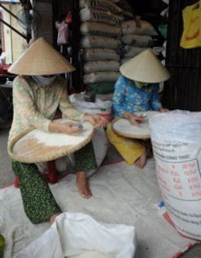 Sàng gạo trong một cửa hàng bán gạo lẻ ở TPHCM. AFP photo 