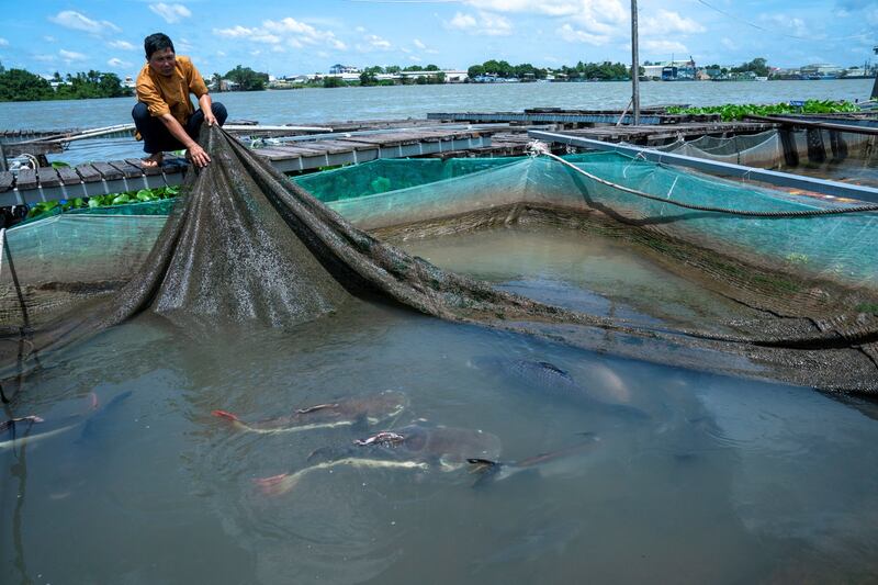 Mekong fisherman.JPG