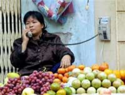 TelephoneFruit200.jpg