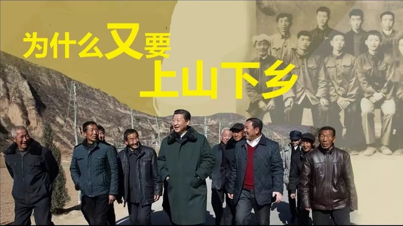  为什么又要上山下乡（网络视频截图）