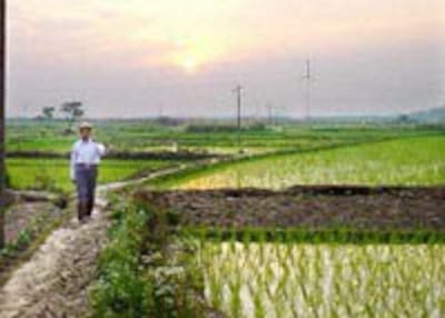 CHINA-ANHUI-FARMER-200.jpg