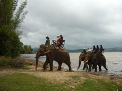 Du lịch trên lưng voi. Photo courtesy of dalateasyrider.com