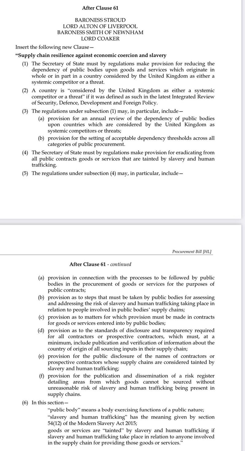 英国上议员斯特劳德男爵夫人（Baroness Stroud）就《采购法案》（Procurement Bill）提出的修订案 (裴伦德推特图片)