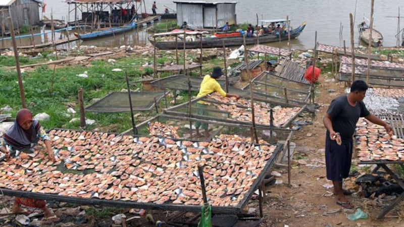 Cambodians dry fish in a village along the Tonle Sap River in Cambodia's capital Phnom Penh, January 16, 2019.