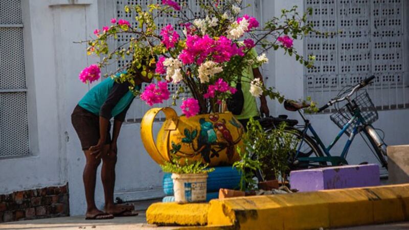 myanmar-flower-pot-protests-yangon-mar18-2021.jpg