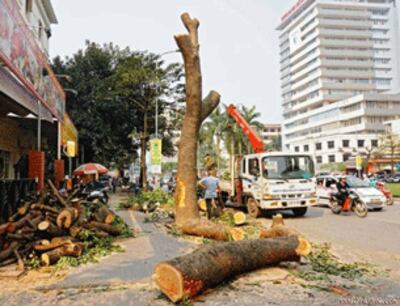 Tàn phá đại trà