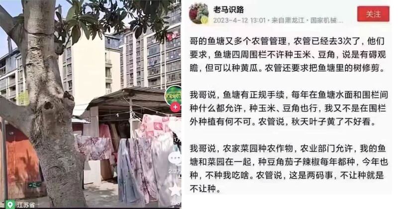 左图：有网民抱怨自家门前的树上，不让栓绳子晒被子。 右图：农户鱼塘周边不准种植玉米、豆角，鱼塘里的树被剪掉。（网络图片/古亭提供）