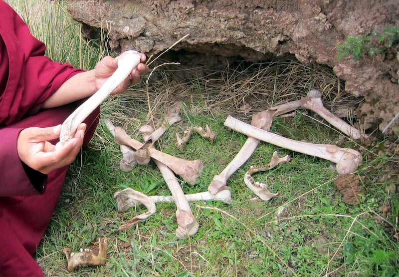 2012年5月，在青海省玉树州囊谦县挖出的乱葬坑里的骨骸，当地人认为是1958年被杀的藏人僧俗的遗骨。（图片来自Elliot Sperling）