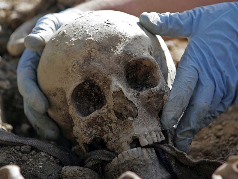 Gloved hands hold human skull during exhumation from mass-grave site, near Srebrenica, Bosnia, Sept. 18, 2009.