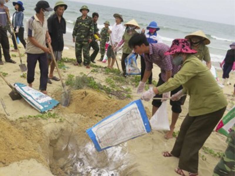 Dân làng chôn cá chết trên một bãi biển ở Quảng Bình, Việt Nam hôm 28/4/2016.