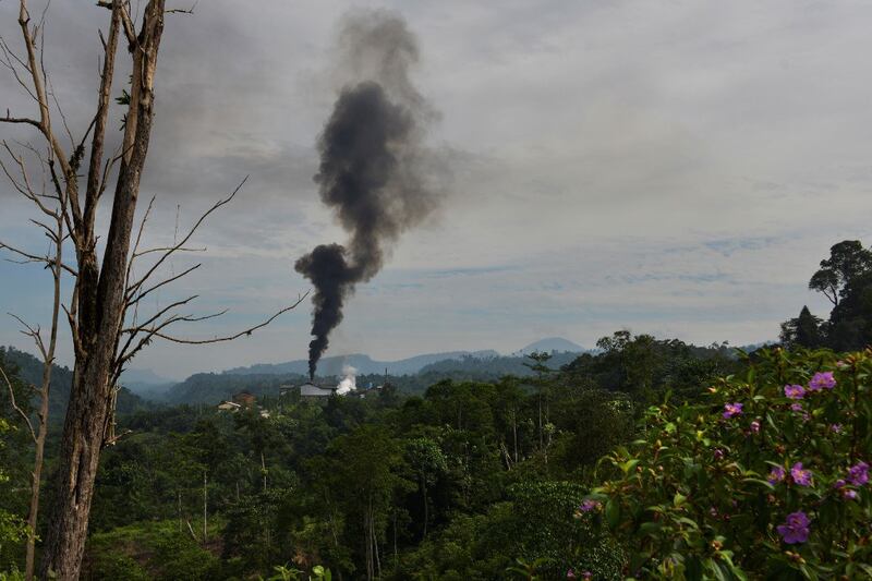 Smoke rises from a palm oil factory in Subulussalam, Indonesia's Aceh province, March 9, 2020.