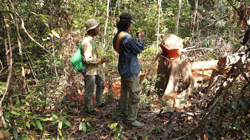 Activists with Lovers of the Environment document illegal logging in Cambodia's Prey Lang forest, April 22, 2020.