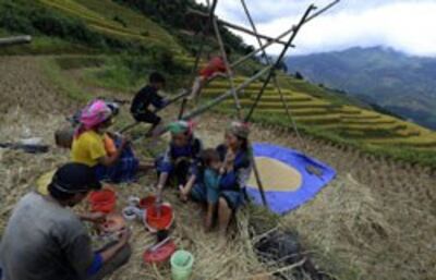 Một gia đình nông dân Hmong ăn trưa trên cánh đồng. AFP photo