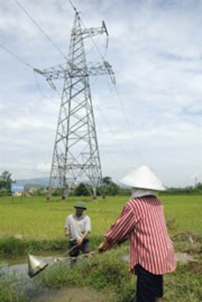 Cột điện trên cánh đồng lúa. AFP