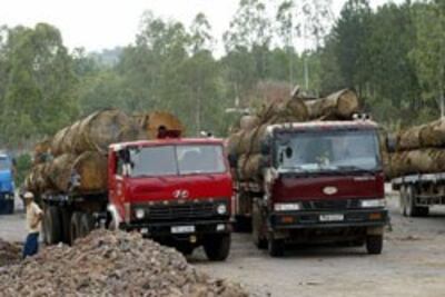 Xe chở gỗ trên quốc lộ 20, ngoại thành Hà Nội hôm 17/05/2003. AFP PHOTO.