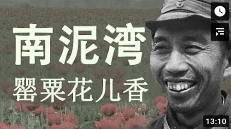 王震曾经在南泥湾种植鸦片。（视频截图）