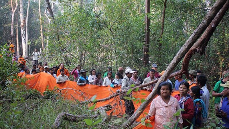 Monks and activists hold a tree-blessing ceremony in Cambodia's Prey Lang forest, Feb. 21, 2019.