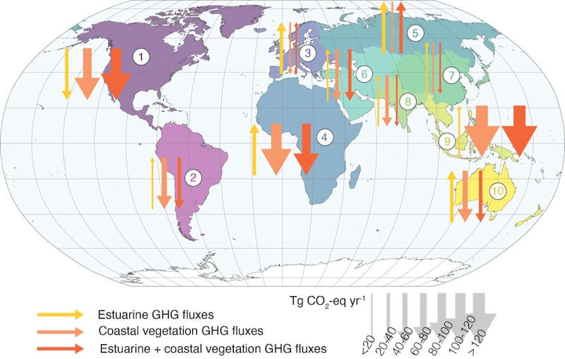 ENG_ENV_coastalecosystem_05222023.2.jpg