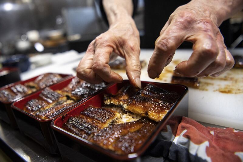 日本鳗是东亚的经济鱼种，美味的鳗鱼饭背后有着没说出口的生态危机。（法新社）