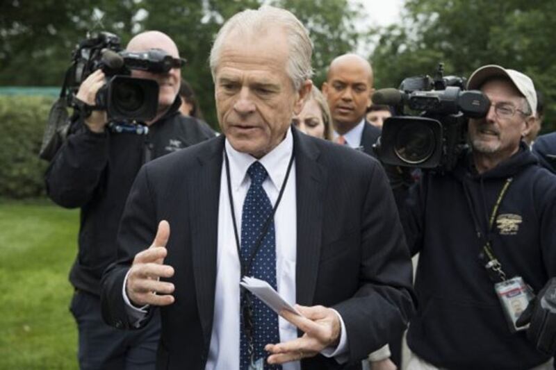 资料图片：美国白宫贸易顾问彼得·纳瓦罗（Peter Navarro）。 (AFP)