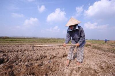 Đất dành cho nông nghiệp lúc nào cũng thiếu. AFP