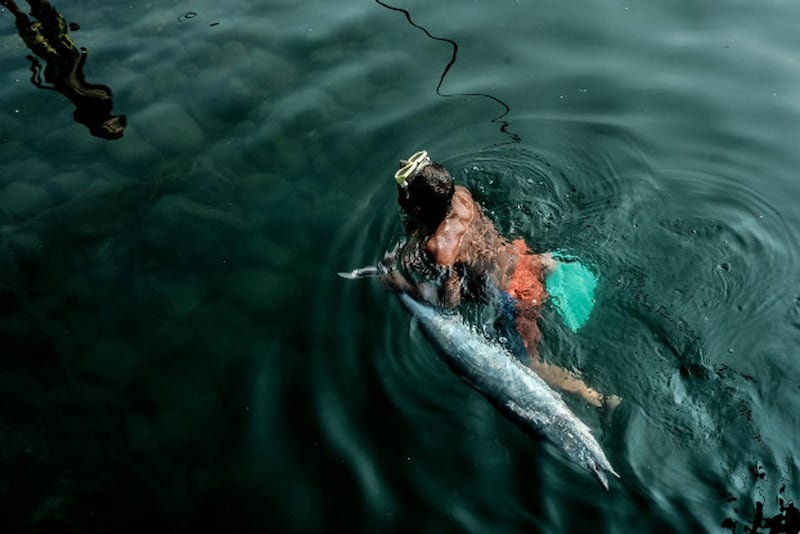 A man tows his catch of a Spanish mackerel as he swims to shore in Masinloc, Philippines, May 28, 2021. Credit: BenarNews