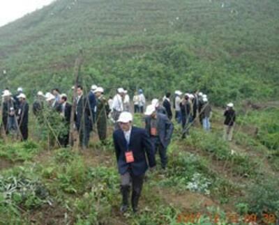 Cán bộ địa phương huyện Hải Hà, tỉnh Quảng Ninh thăm đất rừng cho Công ty Innov Green thuê. Photo courtesy of Innov Green.