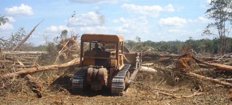 A bulldozer clears trees from the protected forest in Oyadaw district Rattanakiri province, Nov. 2012. Credit: RFA.