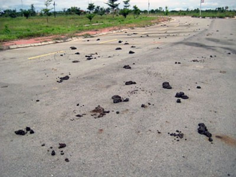 Piles of buffalo manure dot the road to the entrance of Attapeu International Airport in southeastern Laos' Attapeu province, June 2017.