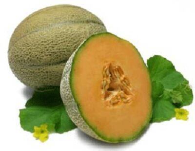 Dưa vàng cantaloupe. Source howstuffworks.com