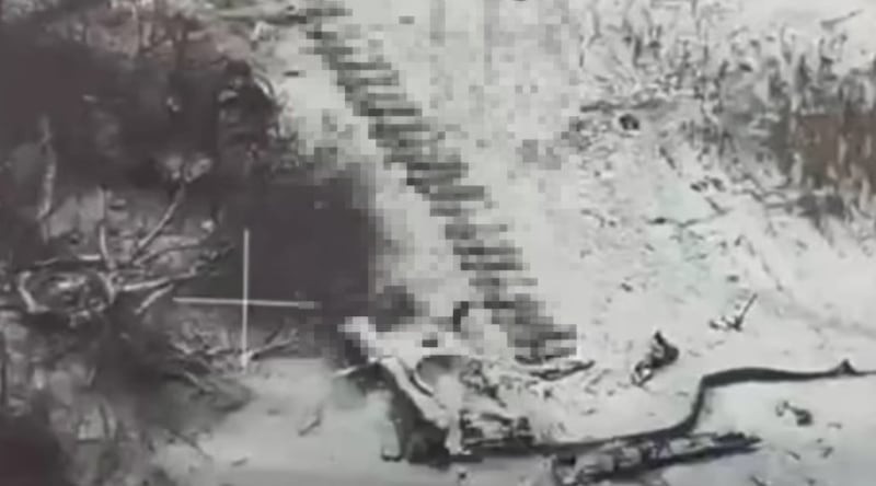 A screenshot of an image released by the Ukrainian drone warfare unit Magyar’s Birds. The unit said it shows the bodies of North Korean soldiers killed in the Kursk region. Part of the image has been blurred by RFA.