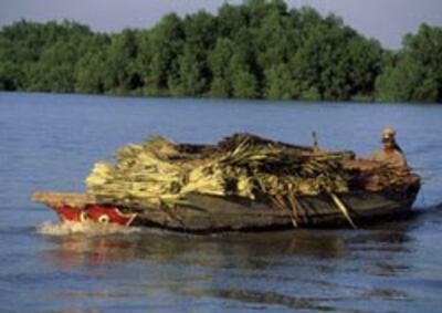 Chiếc ghe chở mía trên giòng Mekong thuộc địa phận Việt Nam. RFA photo 