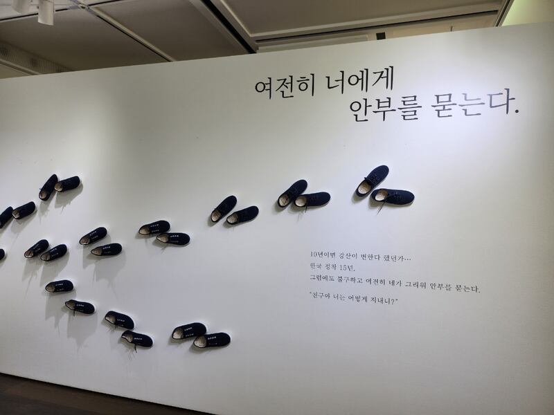 코이작품_신발50벌.jpg