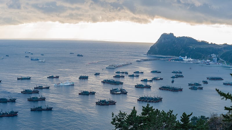 在韩国乌山岛海域的中国鱿鱼船队（来源：©法外海洋项目/摄影师：法比奥·纳西门托，2019年5月）