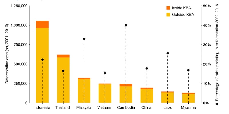 ENG_ENV_RubberPlantation_10192023.2.png