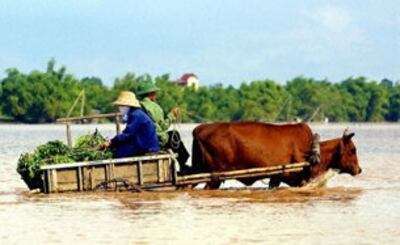 Mùa lũ ở Đồng Bằng Sông Cửu Long. AFP