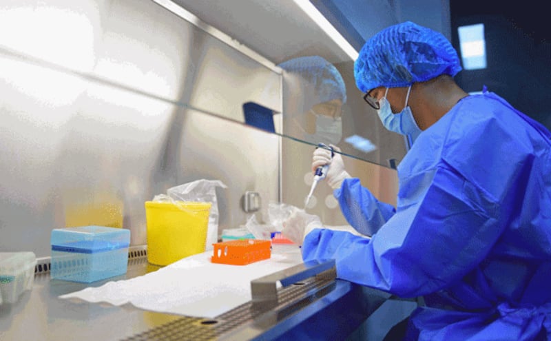 A laboratory technician works at a COVID-19 testing facility in Lhasa, capital of western China's Tibet Autonomous Region, Aug. 9, 2022. Credit: CNS/AFP