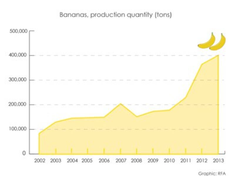 Banana production in Laos 2002-2013