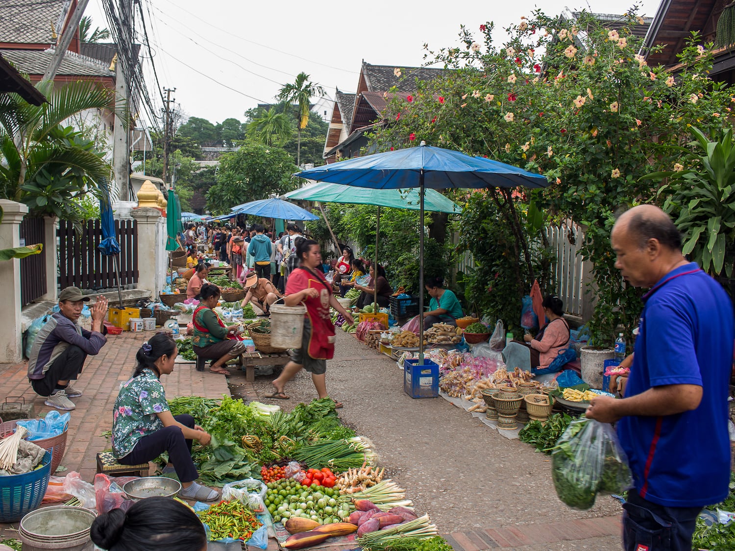 Residents of a resettlement village for those affected by the construction of the Laos-China railway in Laung Prabang province, Laos, Sept, 2023.