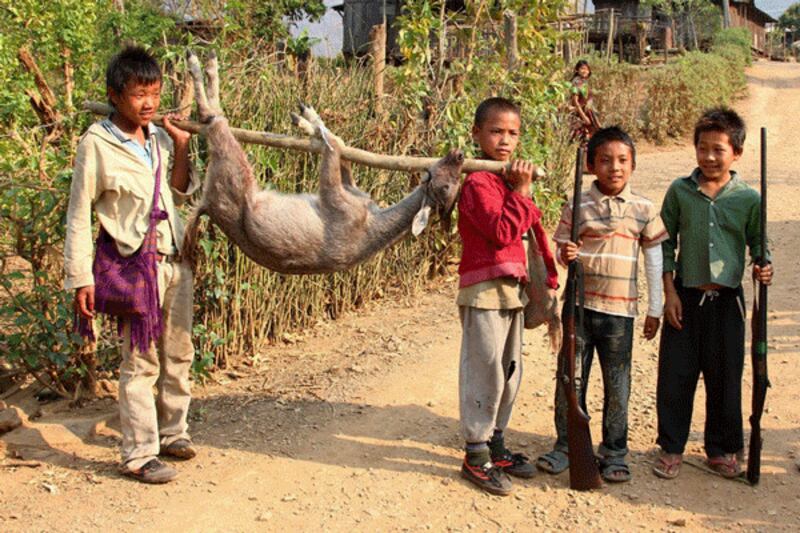 A hunting party of Chin boys bring home a barking deer to help feed their families, April 2013.