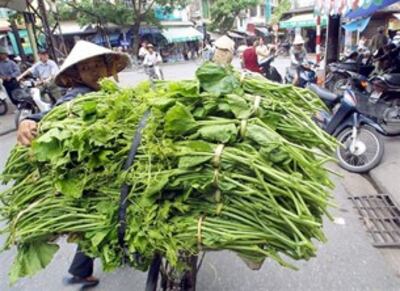 Bán rau cỏ lưu động trong thành phố. AFP