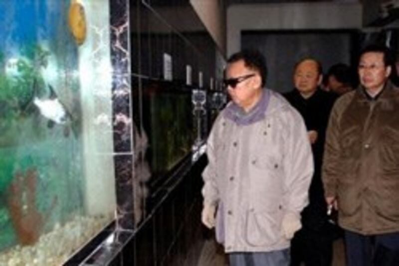 Jang Sung-Taek bên cạnh Kim Jong-Il, 2009- nkeconwatch photo