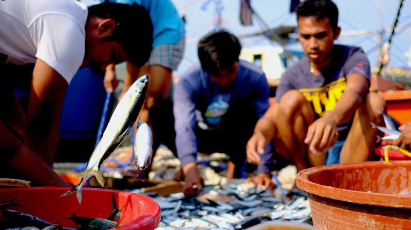 Fishermen sort their catch after arriving on the coast of Masinloc, in the province of Zambales west of the Philippine capital Manila in this picture dated May 28, 2021. Masinloc is a fishing community heavily impacted by the Chinese taking over the Scarborough Shoal, a rich fishing ground that is within Manila's exclusive economic zone. (Jason Gutierrez/BenarNews)