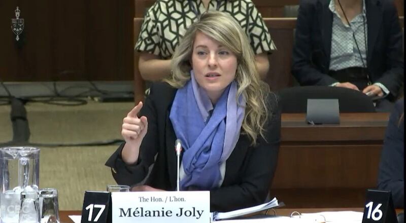 加拿大外长乔美兰(Mélanie Joly)说正考虑驱逐中国外交官，但在评估可能要承担的後果。 (视频会议截图)