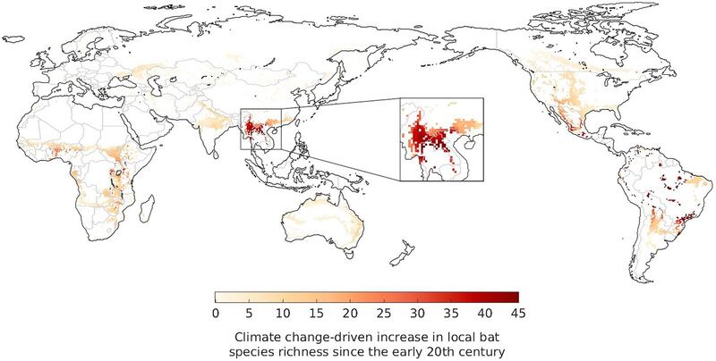 东南亚的蝙蝠生物多样性高，不过随着暖化加剧，蝙蝠也跟着迁徙搬家。（截图自《Science of the Total Environment》）