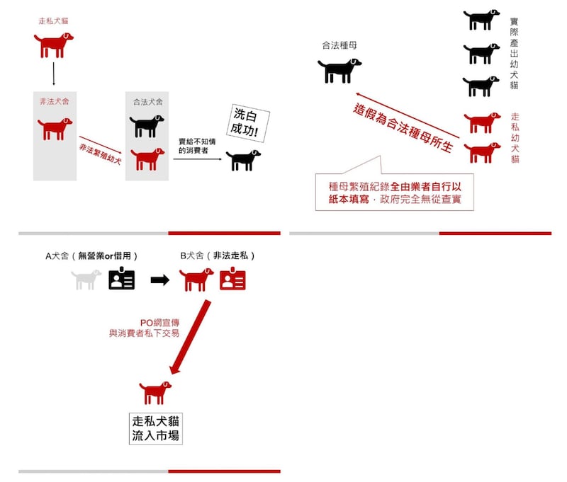 台湾动保团体调查非法繁殖场，揪出走私犬猫的洗白管道。（台湾动物社会研究会提供）