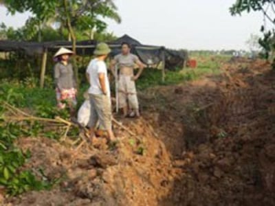 Người dân Xuân Quan, Văn Giang trở lại trồng cây trên đất đã bị cưỡng chế, ảnh chụp tháng 5 năm 2012. File photo.