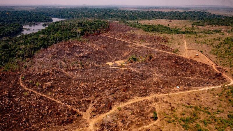 Picture released by Brazil's State of Mato Grosso showing deforestation in the Amazon