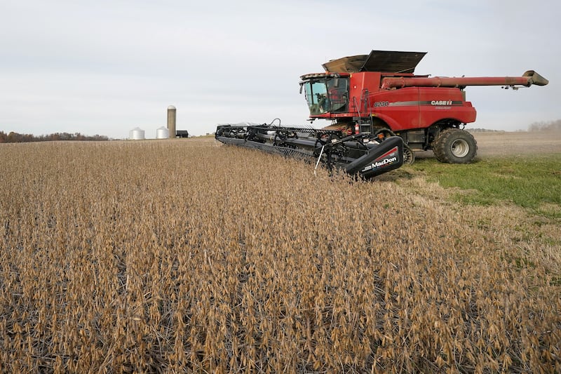 Soybeans are harvested from a field on Hodgen Farm in Roachdale, Indiana, Nov. 8, 2019.